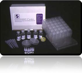 Daphnia Pulex Toxicity Testing Daphnia Pulex Toxicity Testing